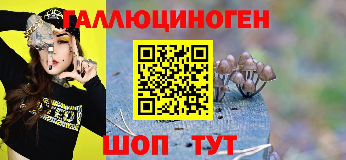 Галлюциногенные грибы GOLDEN TEACHER Острогожск