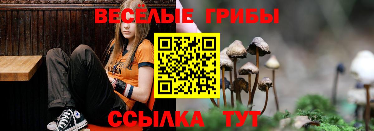 закладки  Вход с VPN  Острогожск  Псилоцибиновые грибы Magic Shrooms 